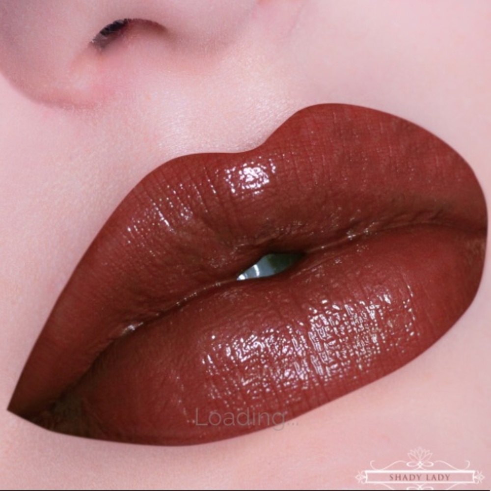 Lip Hybrid✨SHADY LADY✨ Vegan and Cruelty Free!!
